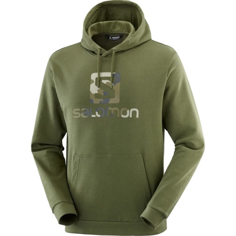 Moletom Com Capuz Salomon Outlife Logo Summer Masculino Verde Oliva | PT F07824